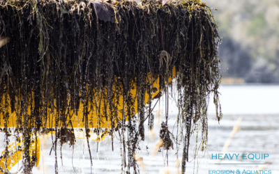 Fall Turnover in Ponds: What It Is, Why It Matters, and How to Protect Your Water