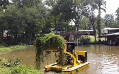 Combating Alligator Weed: Tackling Floating Islands In Our Waterways